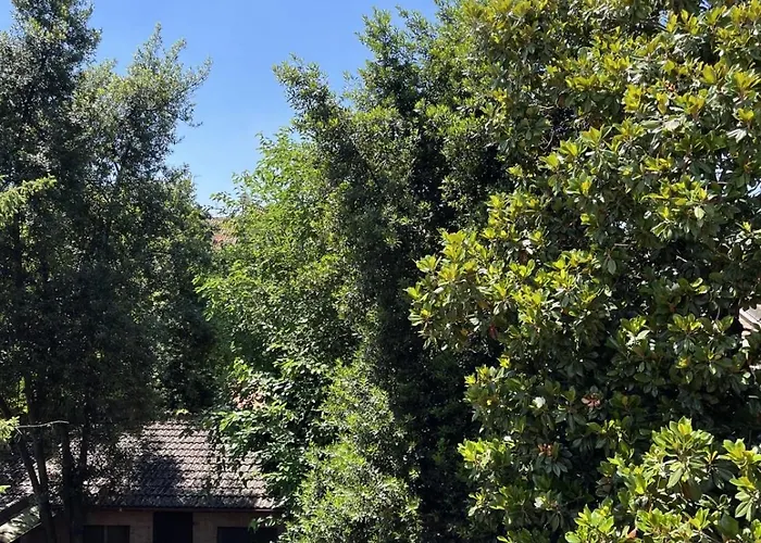 Le Petit Loft Appartement